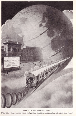 Illustration for article titled Fritz Kahn's Cybernetic Body Art Is Like Terminator Circa 1920